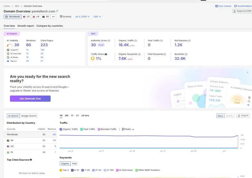 Company website's traffic is table which can show on photo